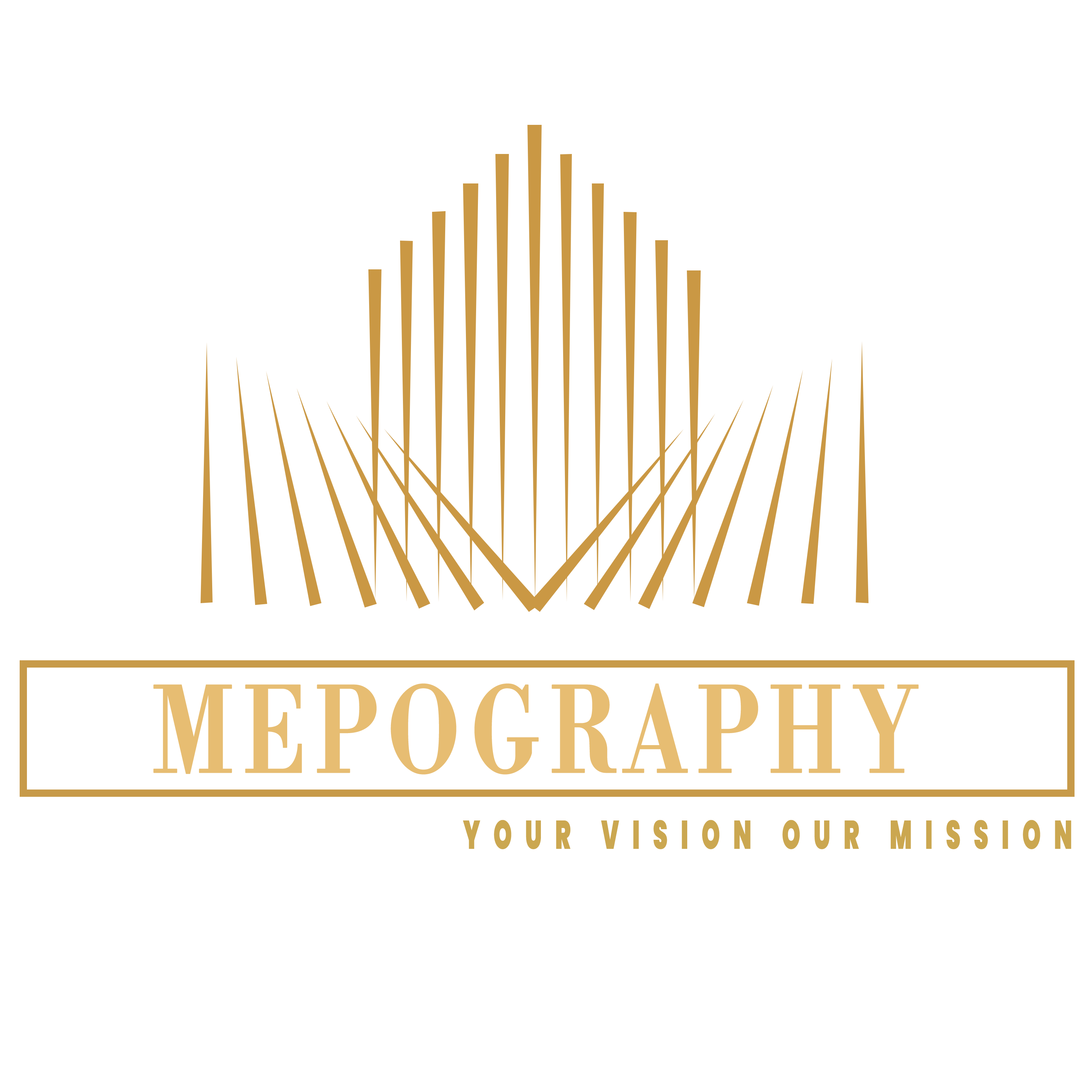 Mepography logo